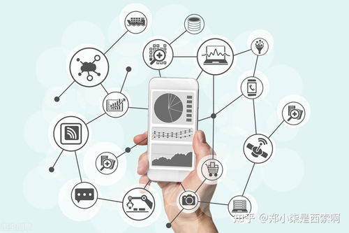 数据分析师与算法工程师 建模能力、差异与协同之道在人工智能应用开发中的融合